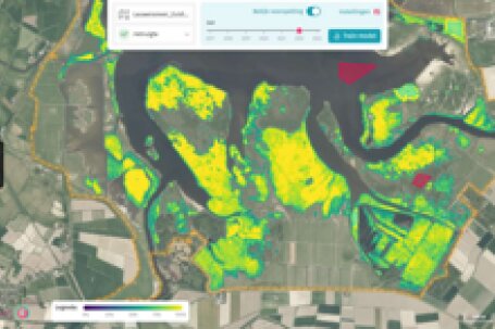 Carto geeft aan waar in het natuurgebied pijpenstrootje voorkom